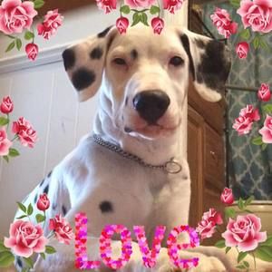 Meet your Posher, Jordyn